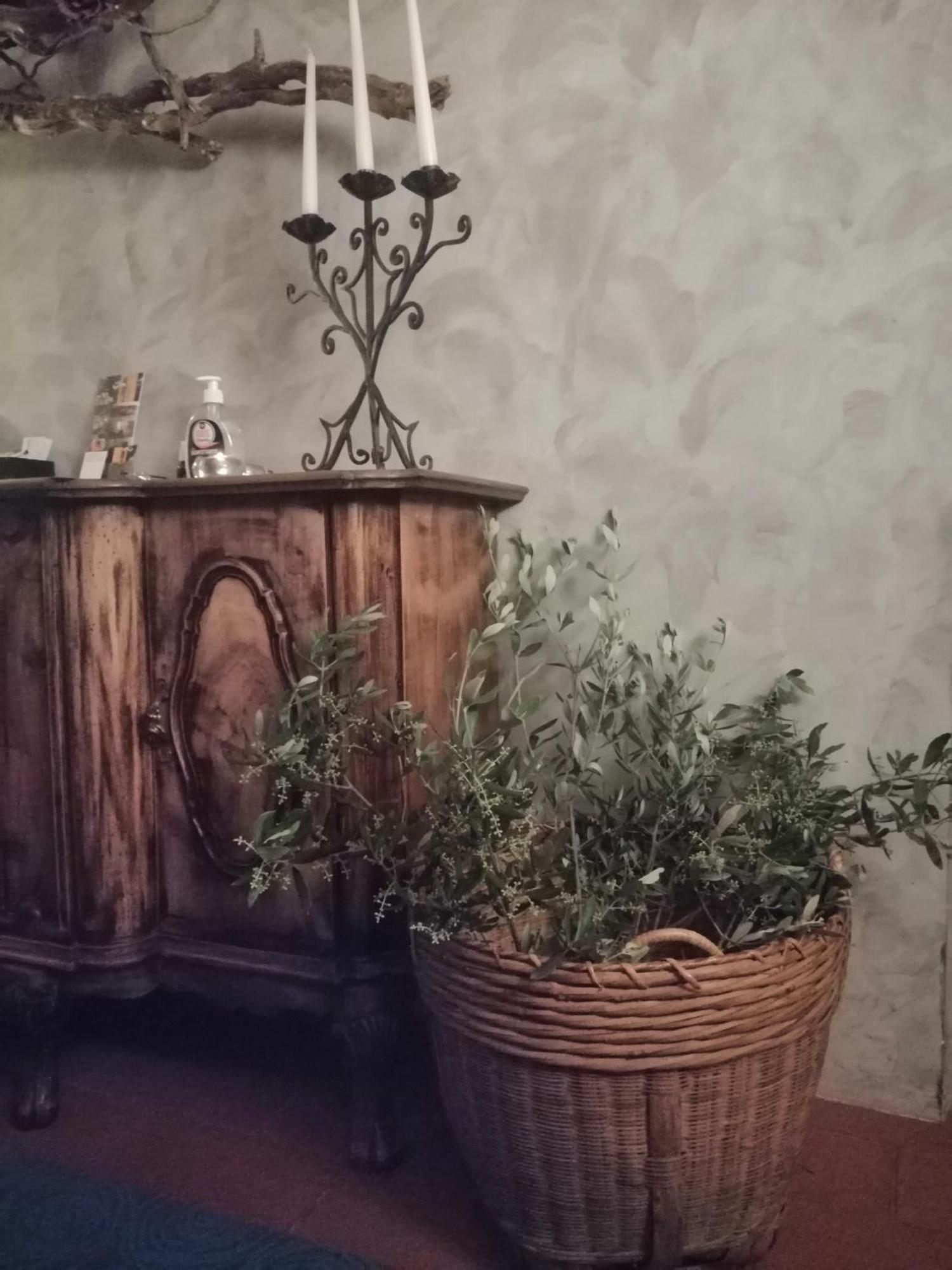 Corte Di Maggio B&B Country House Imola Ngoại thất bức ảnh