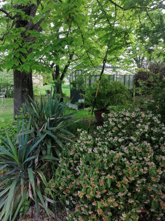 Corte Di Maggio B&B Country House Imola Ngoại thất bức ảnh