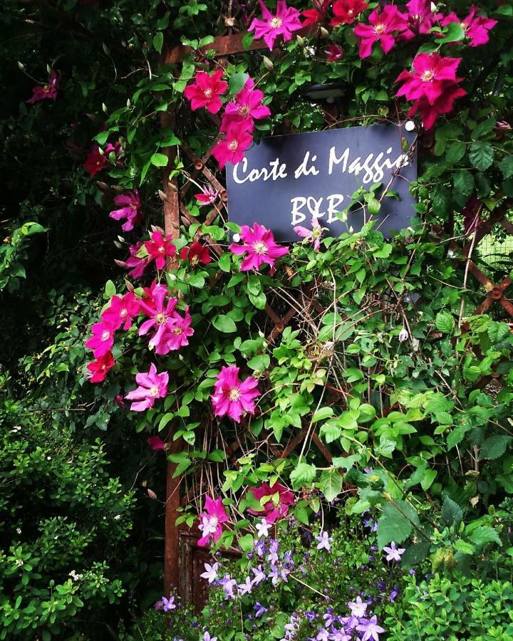 Corte Di Maggio B&B Country House Imola Ngoại thất bức ảnh