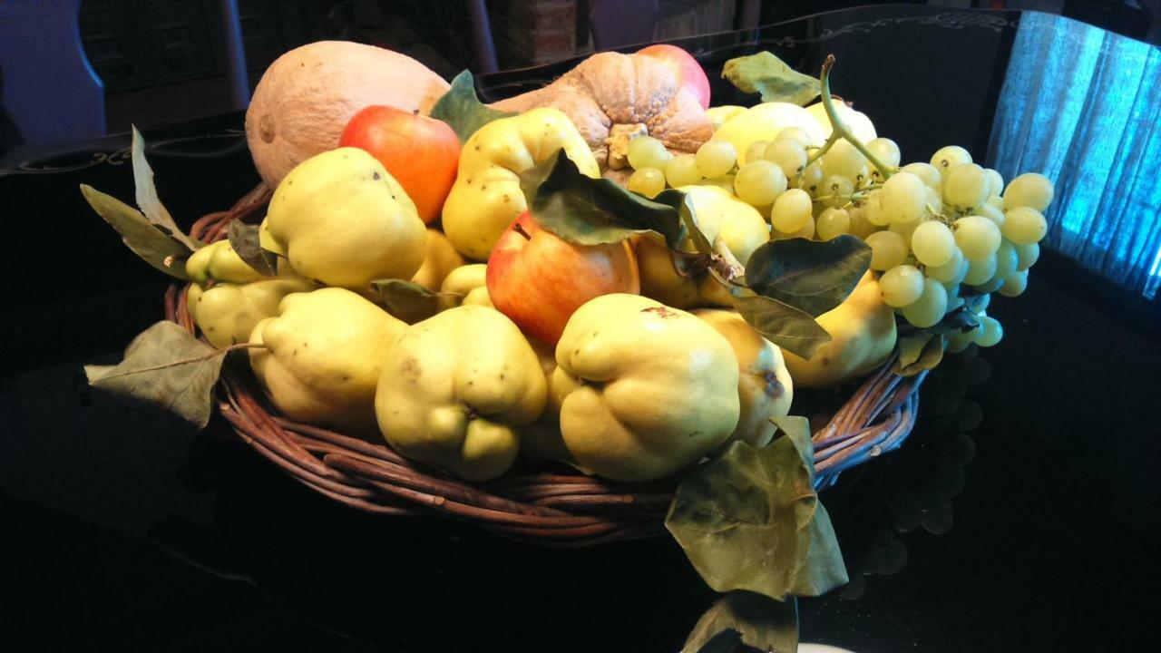 Corte Di Maggio B&B Country House Imola Ngoại thất bức ảnh